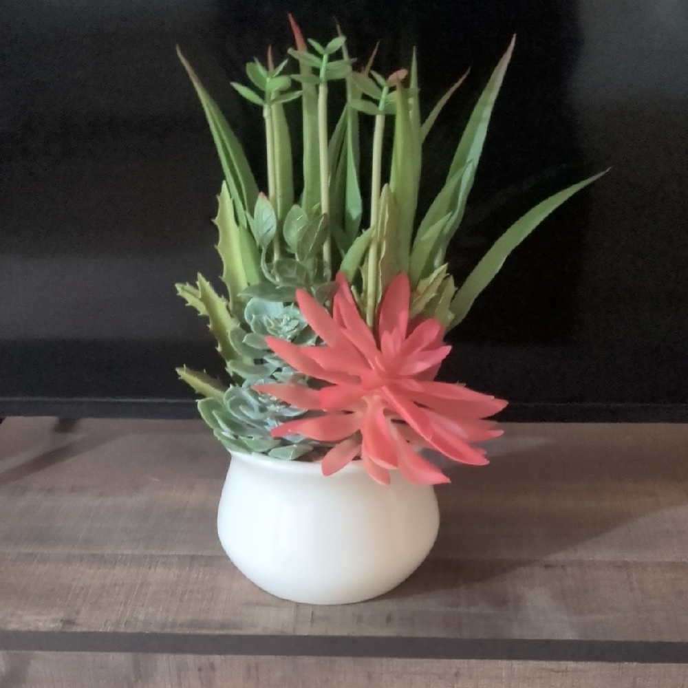 Artificial Succulent Arrangement in White Pot